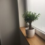 Официальный сайт подоконников Moeller. Подоконники МДФ арт. 451-963-11-228 744864225ff9a687e72fc9f9885ec9e7